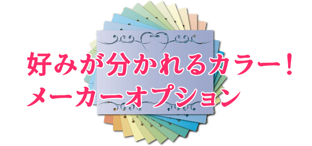 好みが分かれるメーカーオプション「カラーのメーカーオプション」